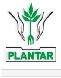 Plantar